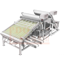 automatic industrial 18 roller fast shrimp grader multifunction size fish prawn sorting grading machine