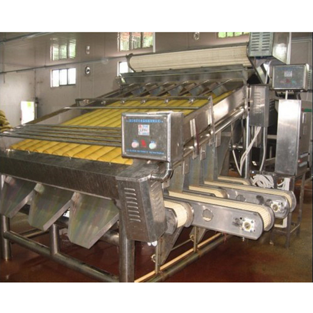 high capacity stainless steel fresh south american shrimp size fish roller grader selection machine
