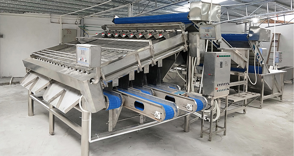 Ensuring Food Safety: The Importance of Food Processing Machinery