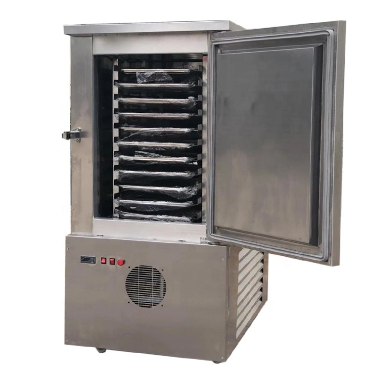 China-Blast-Freezer-Storage-Refrigeration-Quick-Freezing-Cold-Room