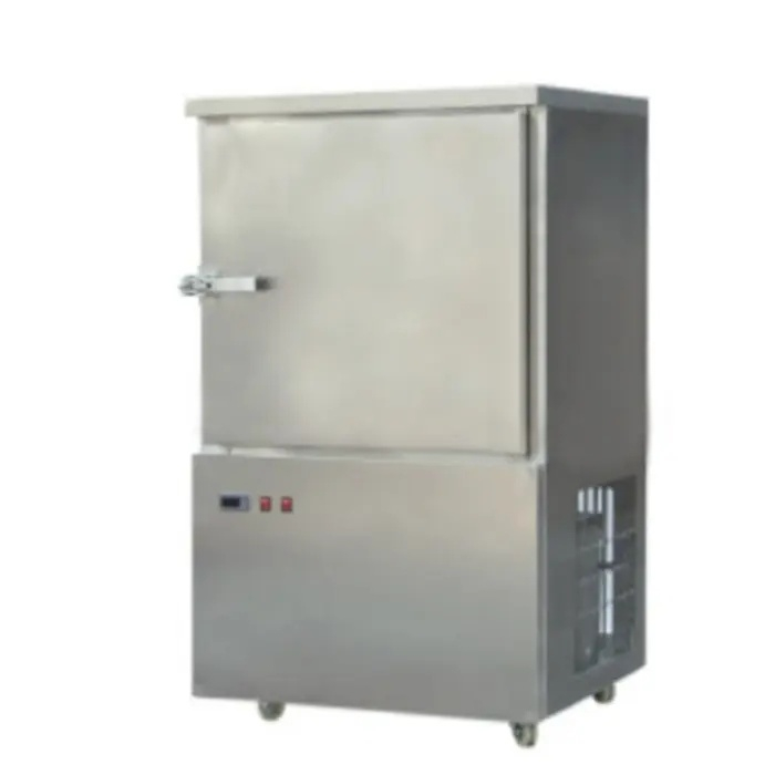 China Blast Freezer Storage Refrigeration Quick Freezing Cold Room