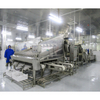 Large Capacity Shrimp Grading Machine High Precision Shrimp Sorting Machine for Seafood Processing