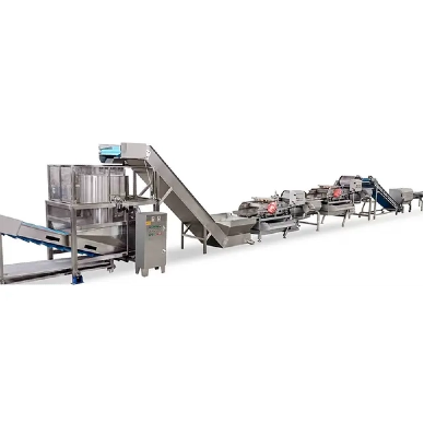 The Importance of Automation in Vegetable Processing Lines