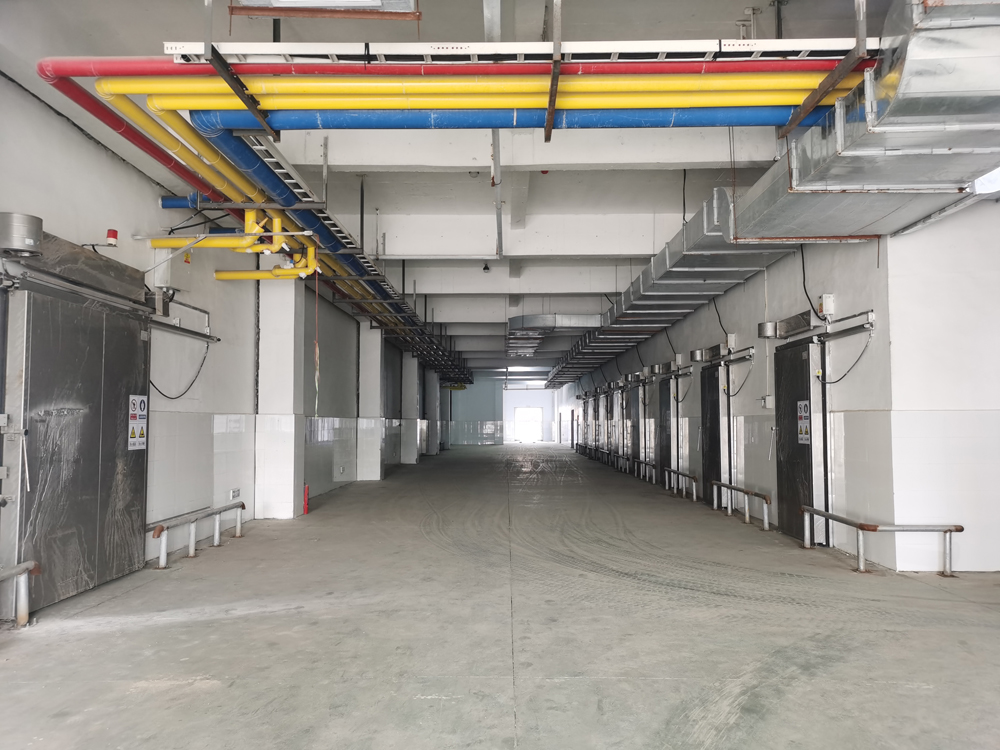 Desheng Food Quick Freeze And Cold Storage Project