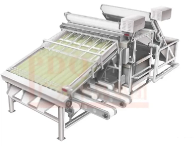 Understanding The Technology Behind Shrimp Grading Machines