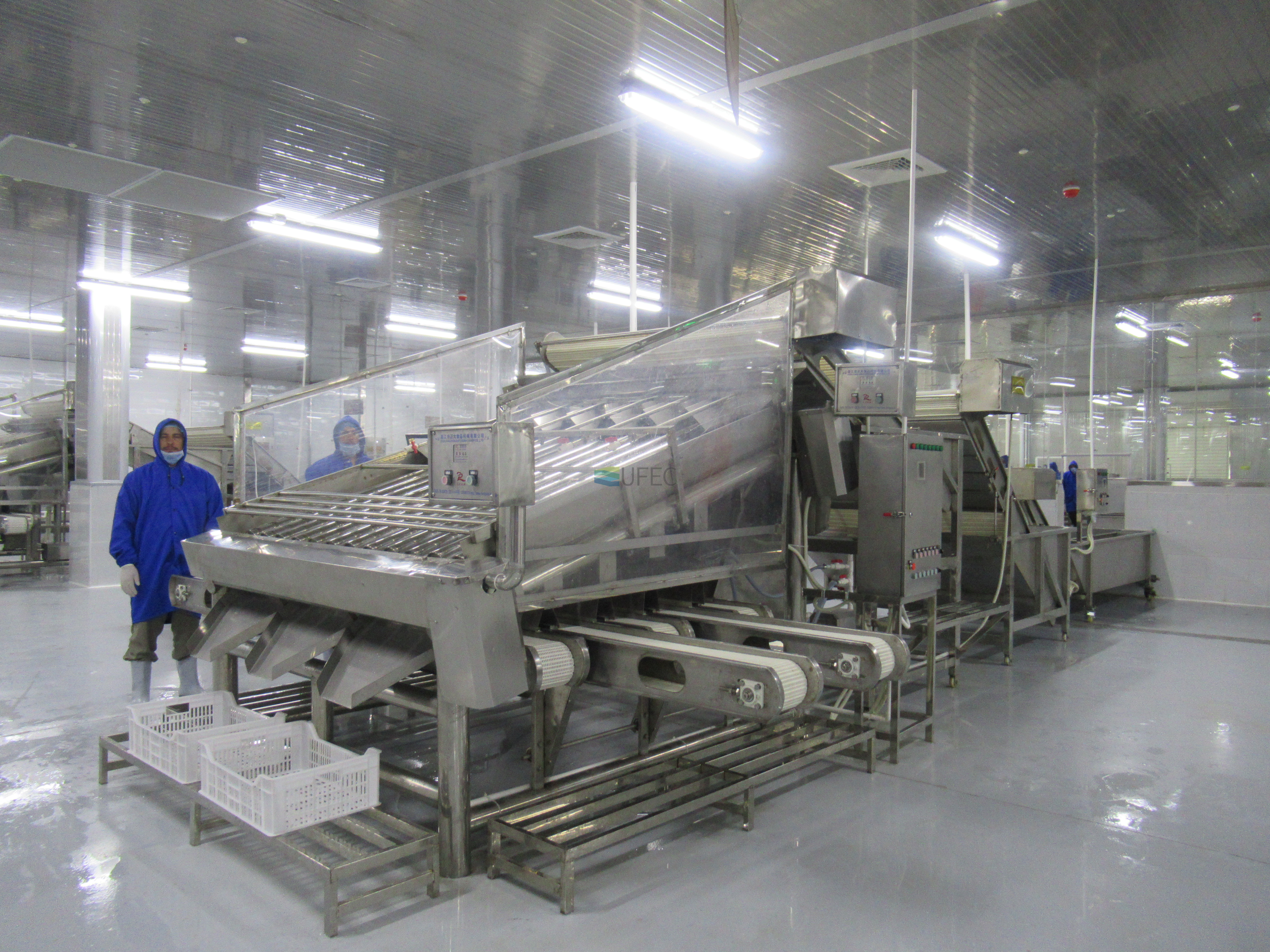 Fully Automatic Stainless Steel Shrimp Sorting Machine for Multiple sizes