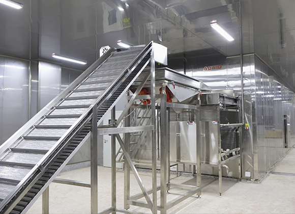 What Are The Advantages of A Fluidized Bed Freezer?