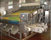 Fully Automatic Stainless Steel Shrimp Sorting Machine for Multiple sizes