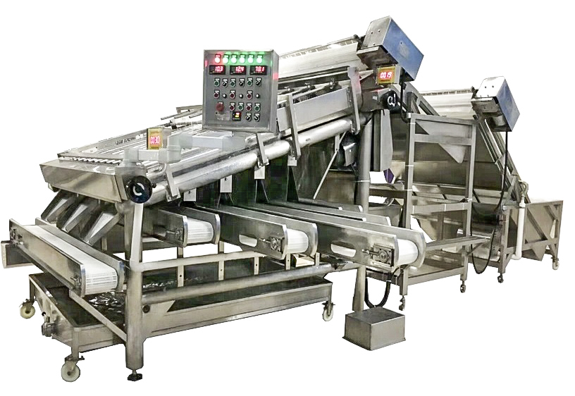 Shrimp Sorting Machine