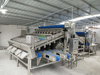 Fully Automatic Stainless Steel Shrimp Sorting Machine for Multiple sizes