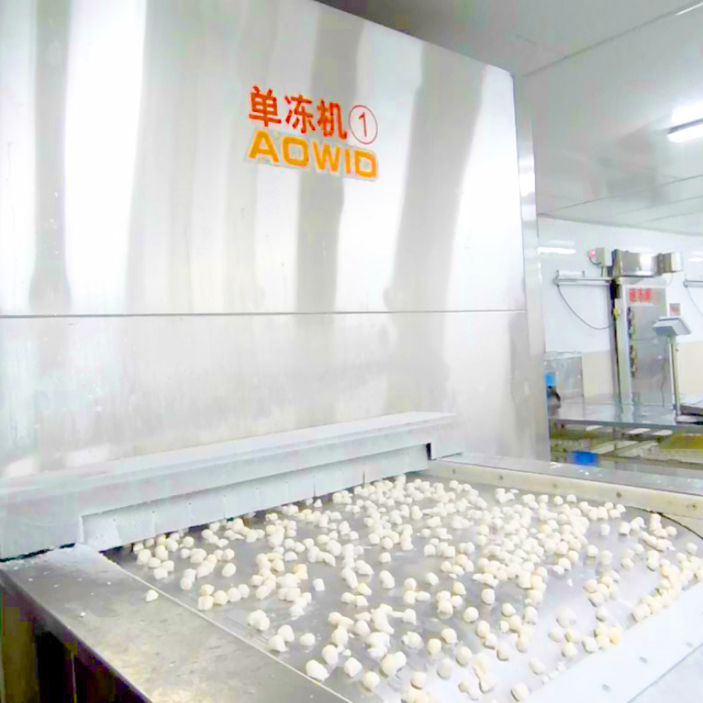 Plate Belt Impinging Individual Tunnel Quick Freezer
