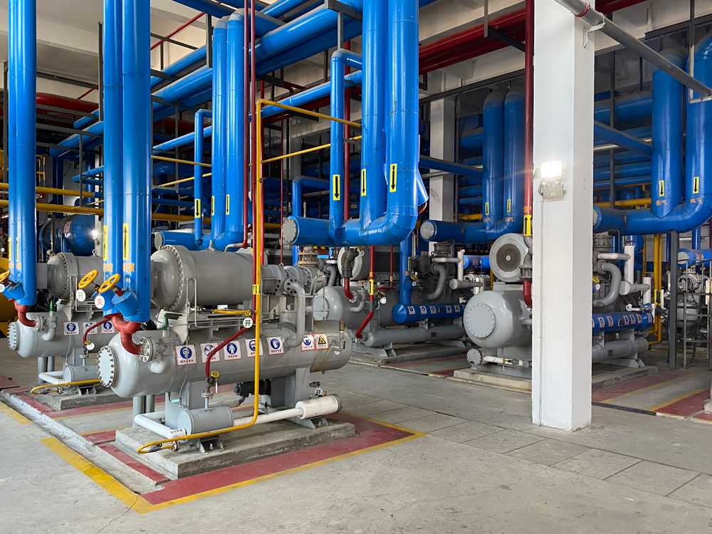 Xiantan Chicken Slaughtering And Chicken Processing Overall Solution Project