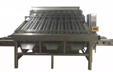 fish processing