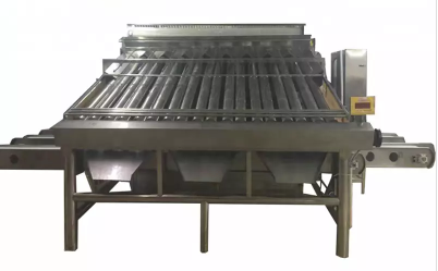 shrimp processing 