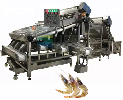  shrimp processing
